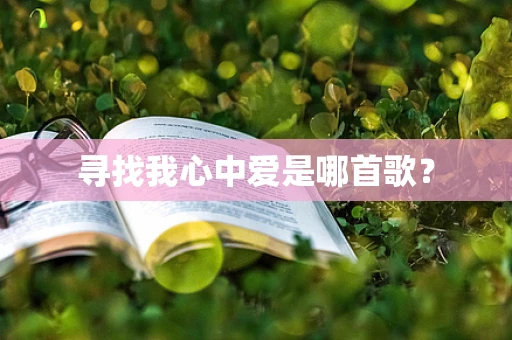 寻找我心中爱是哪首歌？