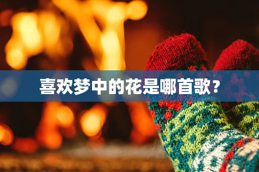 喜欢梦中的花是哪首歌？