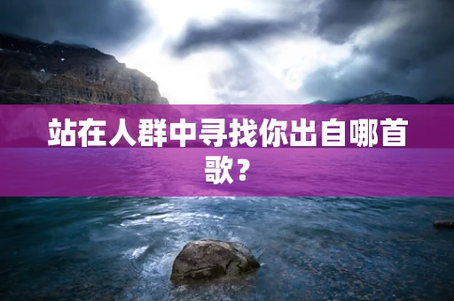 站在人群中寻找你出自哪首歌？