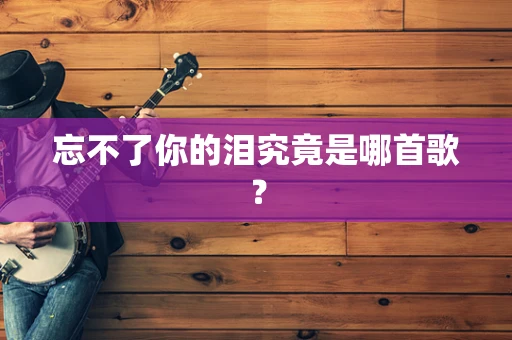 忘不了你的泪究竟是哪首歌？