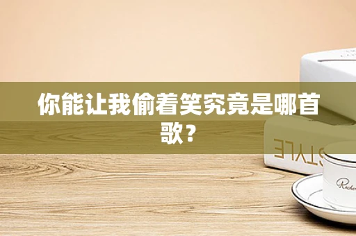 你能让我偷着笑究竟是哪首歌？