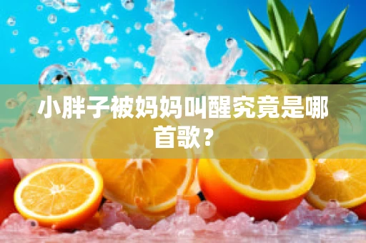 小胖子被妈妈叫醒究竟是哪首歌？