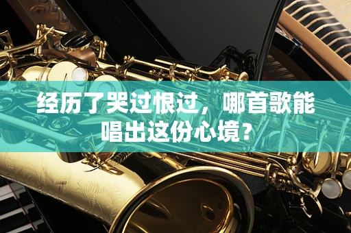 经历了哭过恨过，哪首歌能唱出这份心境？