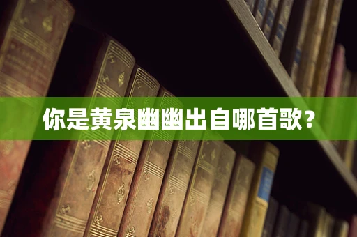 你是黄泉幽幽出自哪首歌？