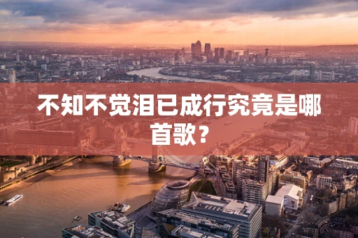 不知不觉泪已成行究竟是哪首歌？
