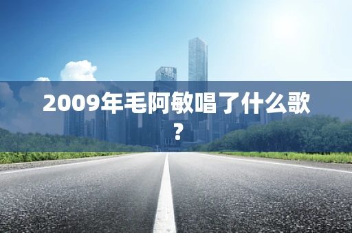 2009年毛阿敏唱了什么歌？
