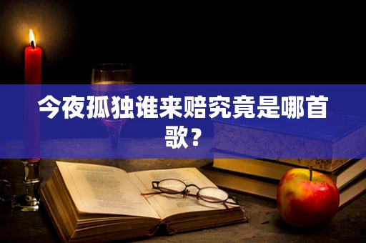 今夜孤独谁来赔究竟是哪首歌？