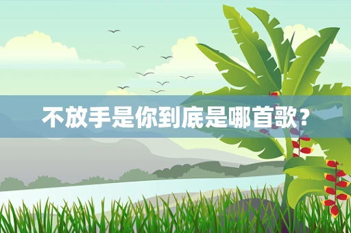 不放手是你到底是哪首歌？