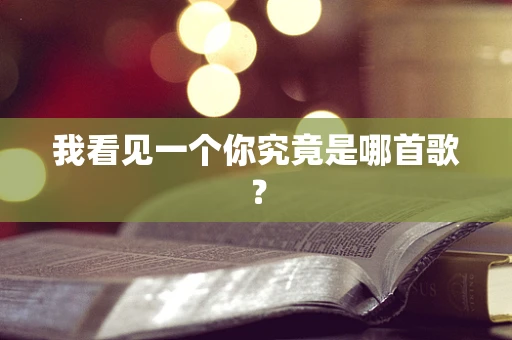 我看见一个你究竟是哪首歌？
