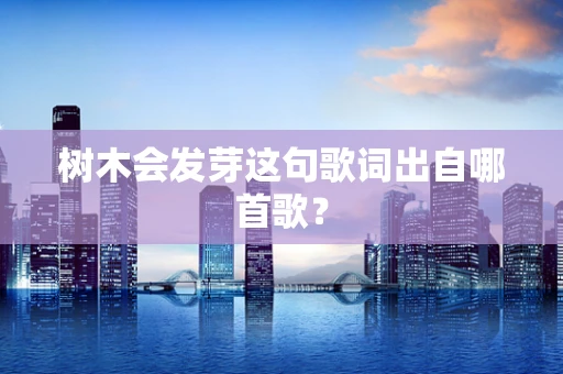 树木会发芽这句歌词出自哪首歌？