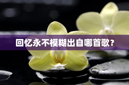 回忆永不模糊出自哪首歌？