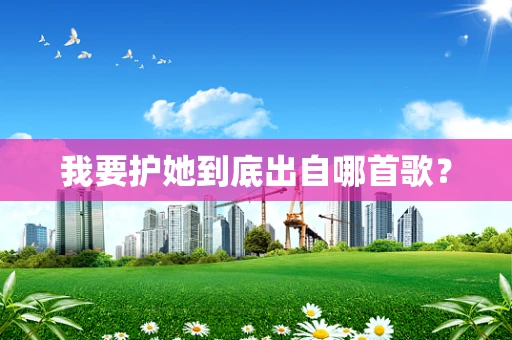 我要护她到底出自哪首歌？