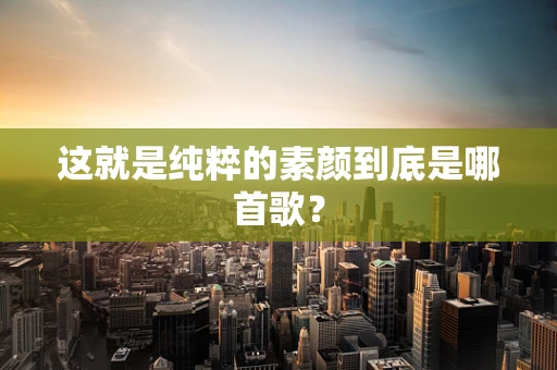 这就是纯粹的素颜到底是哪首歌？
