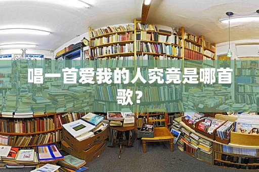 唱一首爱我的人究竟是哪首歌？