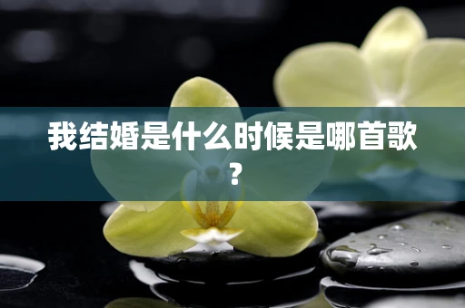 我结婚是什么时候是哪首歌？