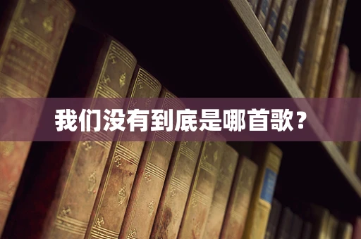 我们没有到底是哪首歌？