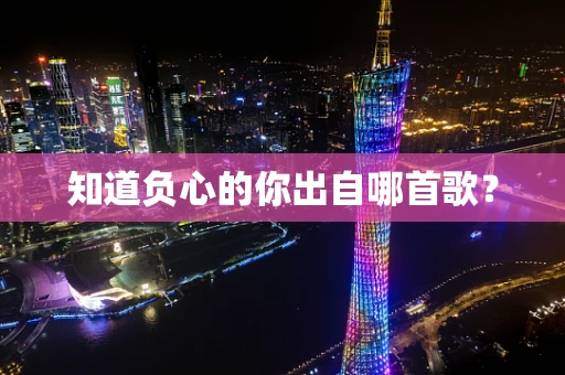 知道负心的你出自哪首歌？