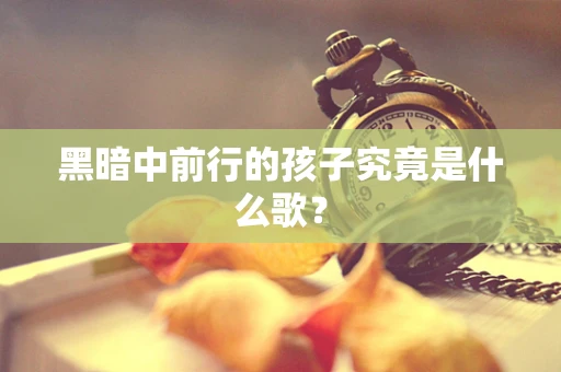黑暗中前行的孩子究竟是什么歌？
