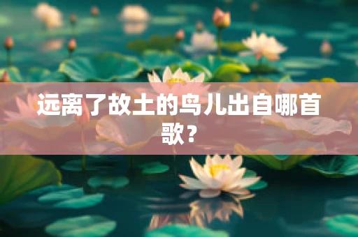 远离了故土的鸟儿出自哪首歌？