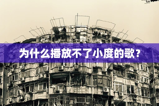 为什么播放不了小度的歌？