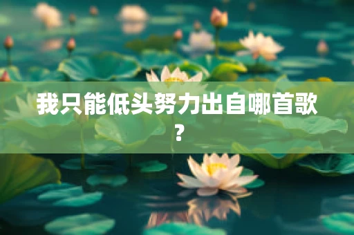 我只能低头努力出自哪首歌？