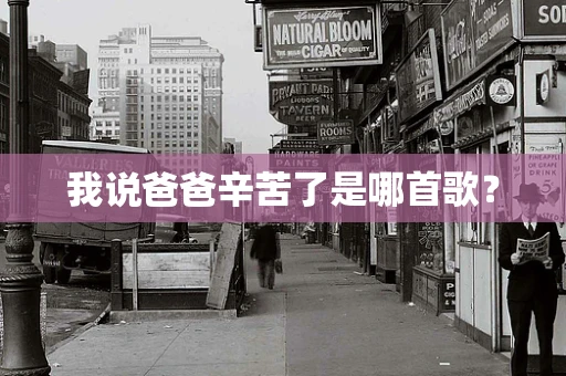 我说爸爸辛苦了是哪首歌？