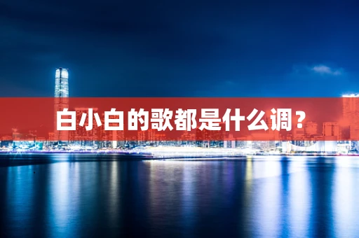 白小白的歌都是什么调？