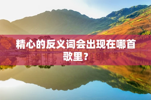 精心的反义词会出现在哪首歌里？
