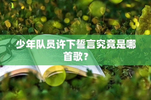 少年队员许下誓言究竟是哪首歌？