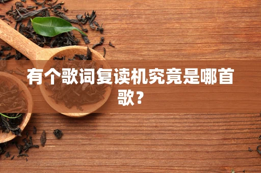 有个歌词复读机究竟是哪首歌？