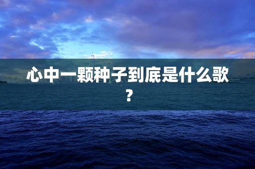 心中一颗种子到底是什么歌？