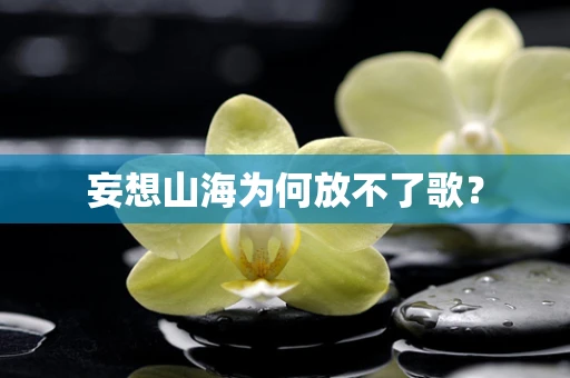 妄想山海为何放不了歌？