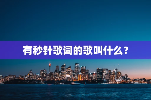 有秒针歌词的歌叫什么？