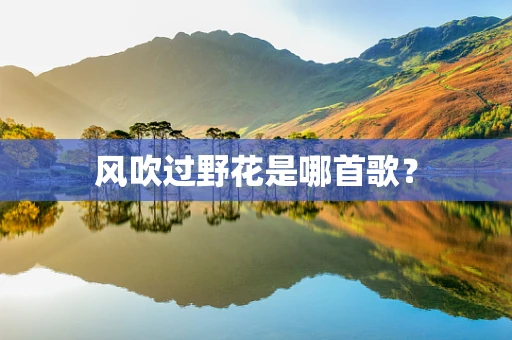 风吹过野花是哪首歌？