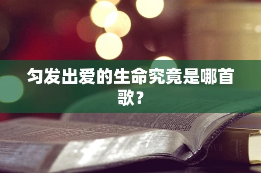 匀发出爱的生命究竟是哪首歌？