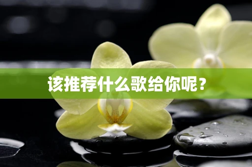 该推荐什么歌给你呢？