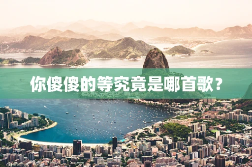 你傻傻的等究竟是哪首歌？