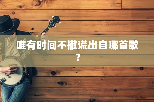 唯有时间不撒谎出自哪首歌？