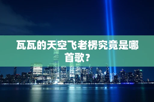 瓦瓦的天空飞老楞究竟是哪首歌？