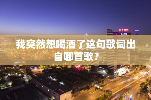 我突然想喝酒了这句歌词出自哪首歌？