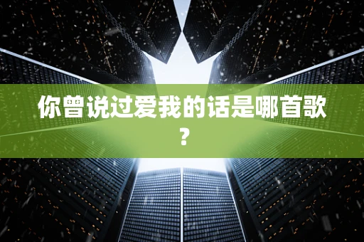 你曾说过爱我的话是哪首歌？