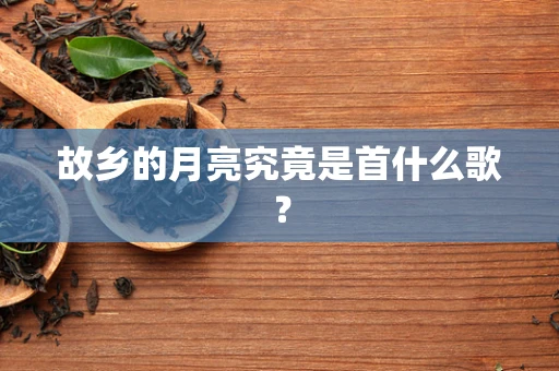 故乡的月亮究竟是首什么歌？