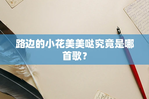 路边的小花美美哒究竟是哪首歌？