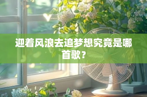 迎着风浪去追梦想究竟是哪首歌？