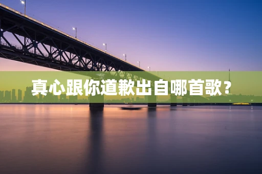 真心跟你道歉出自哪首歌？