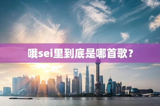 哦sei里到底是哪首歌？