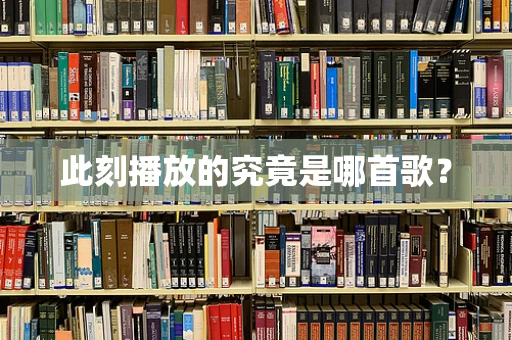 此刻播放的究竟是哪首歌？