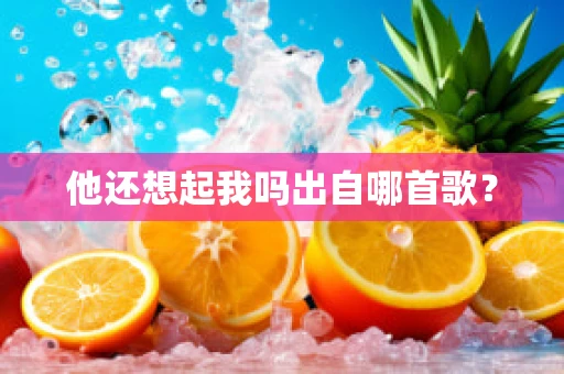 他还想起我吗出自哪首歌？