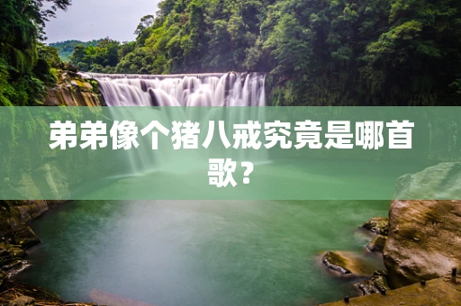 弟弟像个猪八戒究竟是哪首歌？