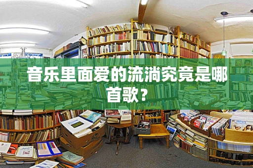 音乐里面爱的流淌究竟是哪首歌？